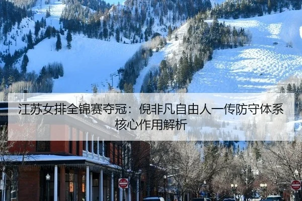 jiang-su-nv-pai-quan-jin-sai-duo-guan-ni-fei-fan-zi-you-ren-yi-chuan-fang-shou-ti-xi-he-xin-zuo-yong-jie-xi-2-212.jpg