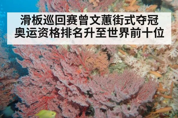 滑板巡回赛曾文蕙街式夺冠 奥运资格排名升至世界前十位