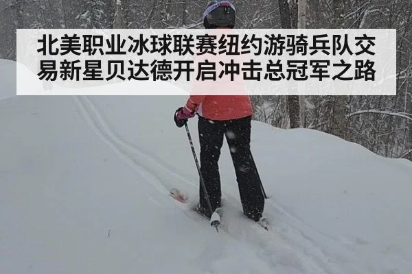 北美职业冰球联赛纽约游骑兵队交易新星贝达德开启冲击总冠军之路