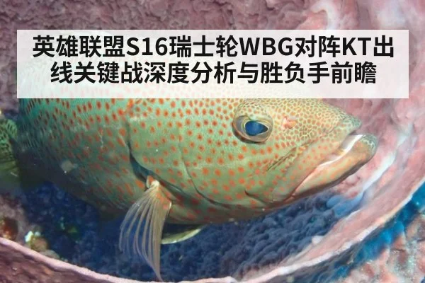 英雄联盟S16瑞士轮WBG对阵KT出线关键战深度分析与胜负手前瞻